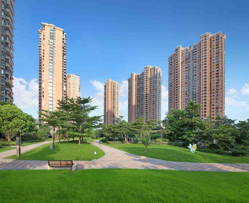 《P3r》大揭秘：7月末任天堂直面会独家预告！