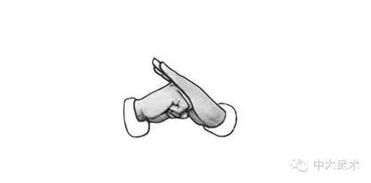 《渊虚之羽抱拳秘籍:轻松解锁独特动作》 《渊虚之羽抱拳秘籍:轻松解锁独特动作》