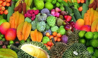 SCUM蔬菜瓜果种植攻略：种植技巧全解析