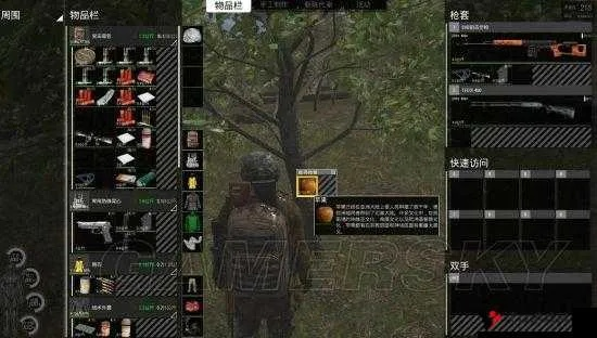 SCUM生存指南：高效矿物质补充攻略