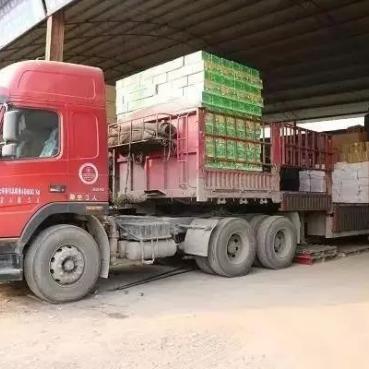 《美女助力,轻松解锁成仙秘籍!》 《美女助力,轻松解锁成仙秘籍!》