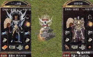 传奇玩家揭秘：揭秘《盟重神兵》“魔龙”版，谁在玩？