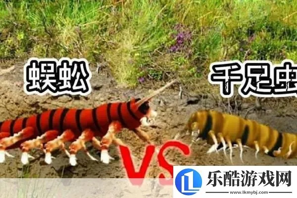 《泰坦虫潮攻略：爱氏物语高效应对技巧》