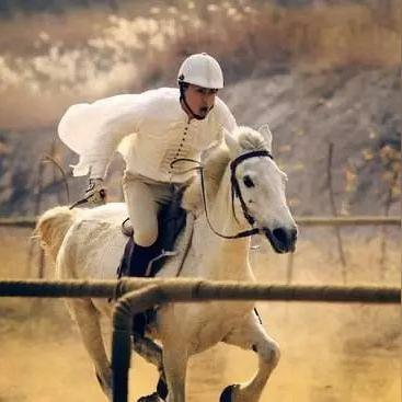 《赛马娘》养成乐无边,粉丝竟疯狂购真马! 《赛马娘》养成乐无边,粉丝竟疯狂购真马!