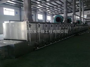 SCUM装备快速烘干技巧揭秘！速度影响因素全解析