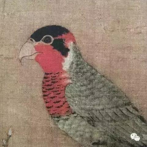 《明末渊虚之羽鹦鹉杯：隐藏属性揭秘》