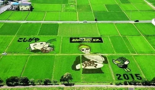 足球场上的多重人生：揭秘不同位置的魅力与技巧