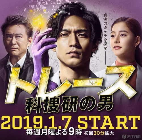 《隐秘档案：揭秘校规挑战攻略》