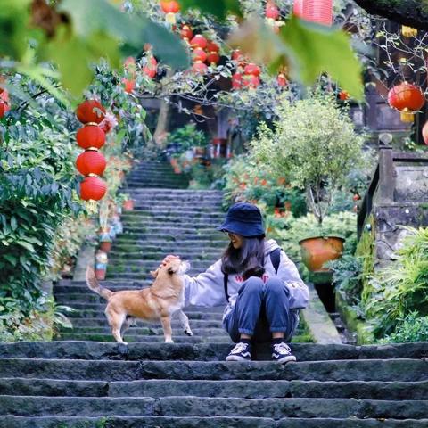 《古街升级秘籍：建筑进化之路》