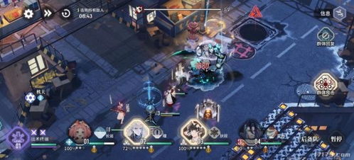 白荆回廊司危最佳阵容搭配攻略