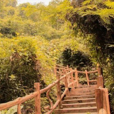 《潮灵王国速升攻略：高效升级秘籍大公开》