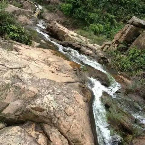 《自然游戏精选：人气爆棚，不容错过的生态冒险》