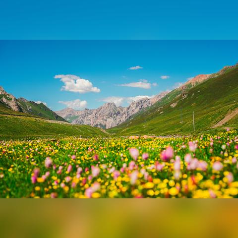 《盘点2023年度热门记叙游戏，哪款才是你的心头好？》