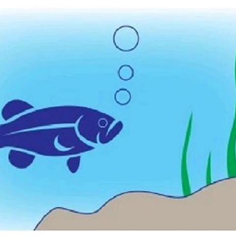 钓鱼达人必看！轻松上手技巧全解析