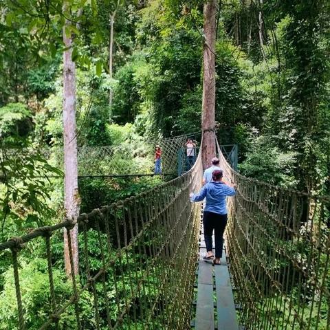 《2023热门龙游戏盘点：不容错过的龙族冒险》