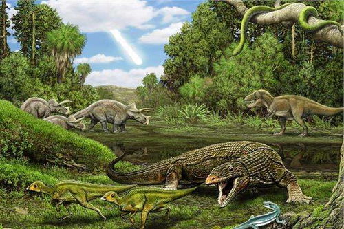 方寸对决沙蜥事件触发揭秘！