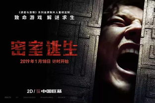 《隐秘档案逃生攻略：虎口脱险秘籍》