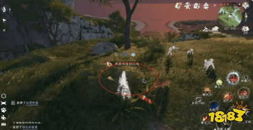 逆水寒手游：仙居原动物好感度快速提升攻略