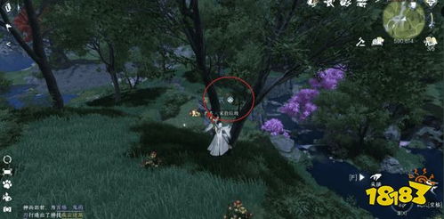 逆水寒手游：仙居原动物好感度快速提升攻略