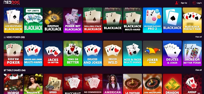 纸牌游戏人气排行：盘点最新热门纸牌游戏推荐