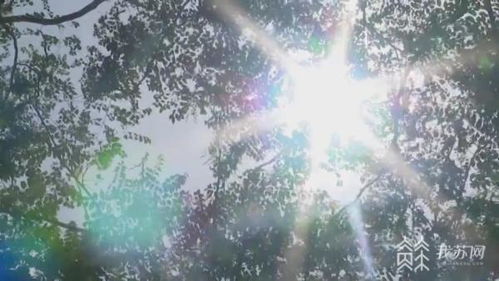 《少年仙界传新区攻略：21招必胜秘籍》