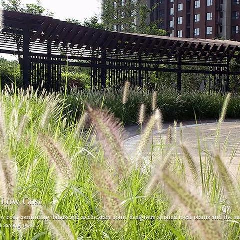 城市营造游戏推荐：盘点十大热门城市建造佳作