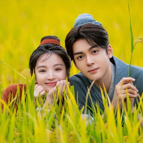 《热门种田游戏排行：盘点最受欢迎的耕田乐》