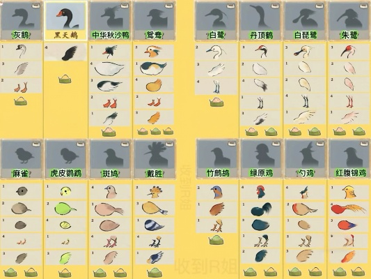 桃源深处探秘：揭秘哪些鸟儿美食引线索，解锁鸟类喜好图鉴