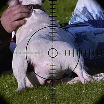 射击游戏盘点：十大经典射击游戏推荐，重温射击巅峰时刻