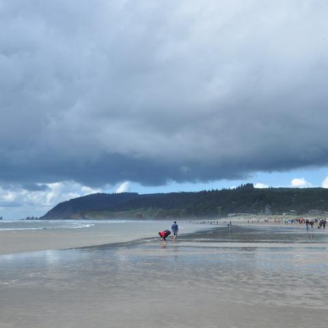 沙雕日记美女狗求生攻略：轻松通关秘籍大公开