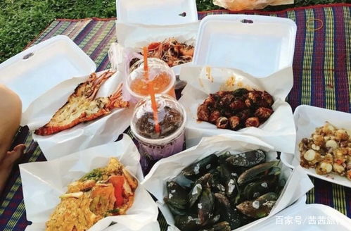 《闪亮之名攻略：独家揭秘高效食用料理技巧》