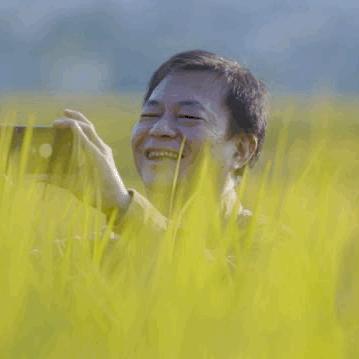 《桃源深处联机秘境：探索隐世家族互动玩法》