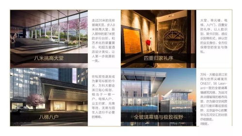 《荒岛求生大逃亡！文字游戏通关秘籍揭秘》