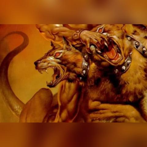 《农夫玉兔公主独家解锁！揭秘隐藏皮肤获取攻略》