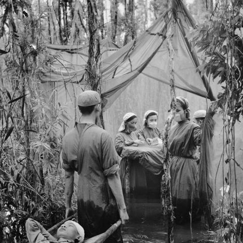 《生存战争萌新必看！新手快速上手指南》