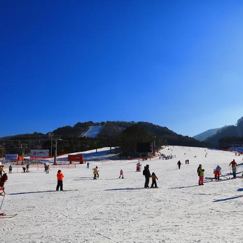 盘点十大热门高尔夫游戏：必玩的高尔夫球游戏推荐！