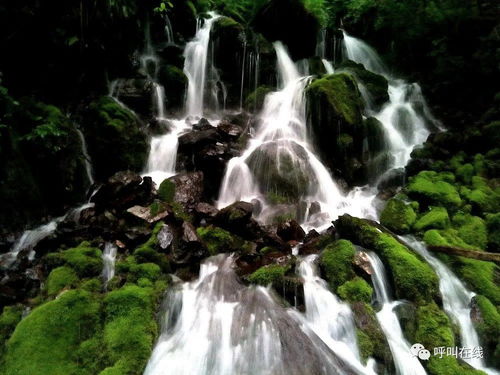 《谜境第三章通关秘籍：独家攻略大揭秘》