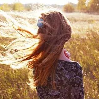 《晚安森林三测食谱攻略：独家秘籍大公开》