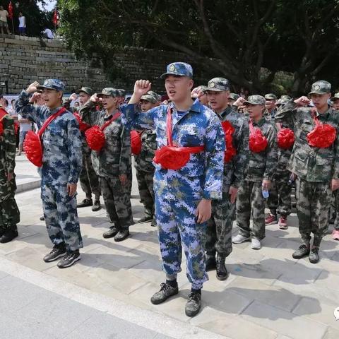 《保卫萝卜4饿龙传说53关攻略:轻松通关秘籍》 《保卫萝卜4饿龙传说53关攻略:轻松通关秘籍》