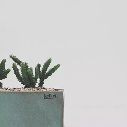 乐辰大学攻略：向阳线多结局全解析攻略秘籍