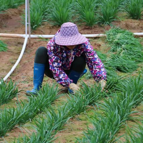 《热门排行！十大必玩时间管理游戏盘点》