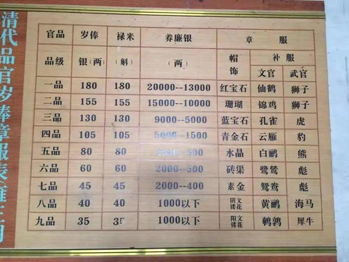 大周官员俸禄揭秘：开支明细大公开