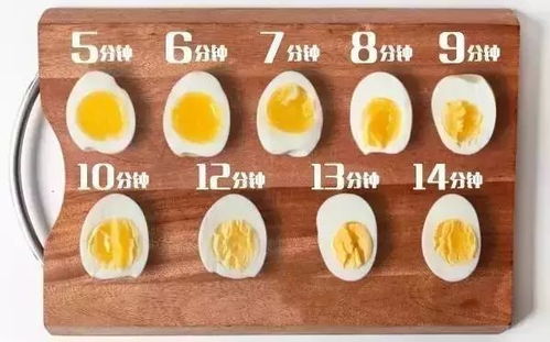 蛋仔美食加工厂攻略：独家玩法揭秘！