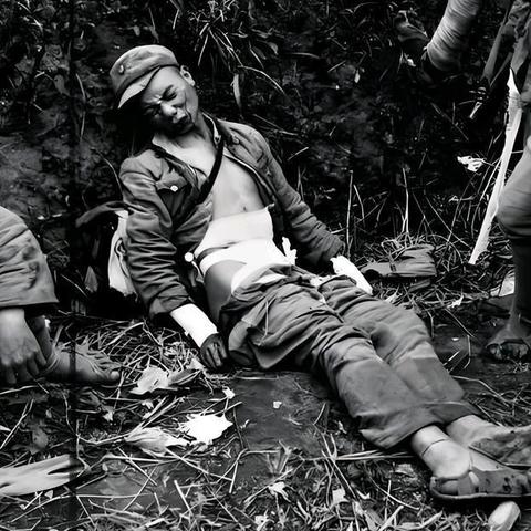 《战火集结！2023年度必玩战争游戏盘点》