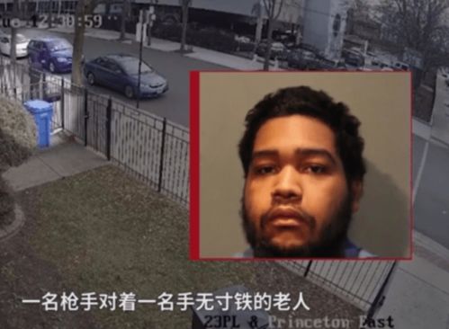 《鹅鸭杀丧葬者攻略：揭秘隐藏身份玩法》