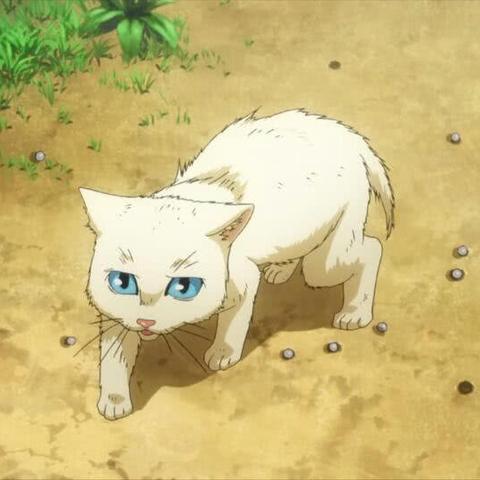 恶人角色人气巅峰！盘点十大高人气恶人主角游戏排行