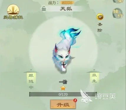 《修仙必备！灵兽养成攻略，轻松提升战力》