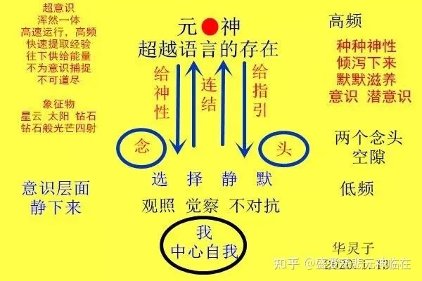 《心智体系统揭秘：平民玩家慎入的神秘领域》