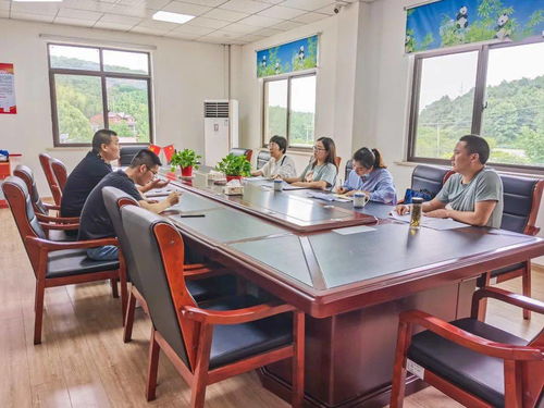 《多重人生采矿站安装难题破解！高效安装攻略》