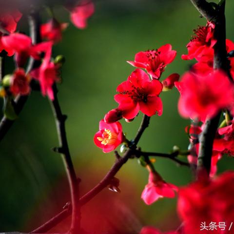 《宅怨第一章攻略：揭秘图文解谜通关秘籍》